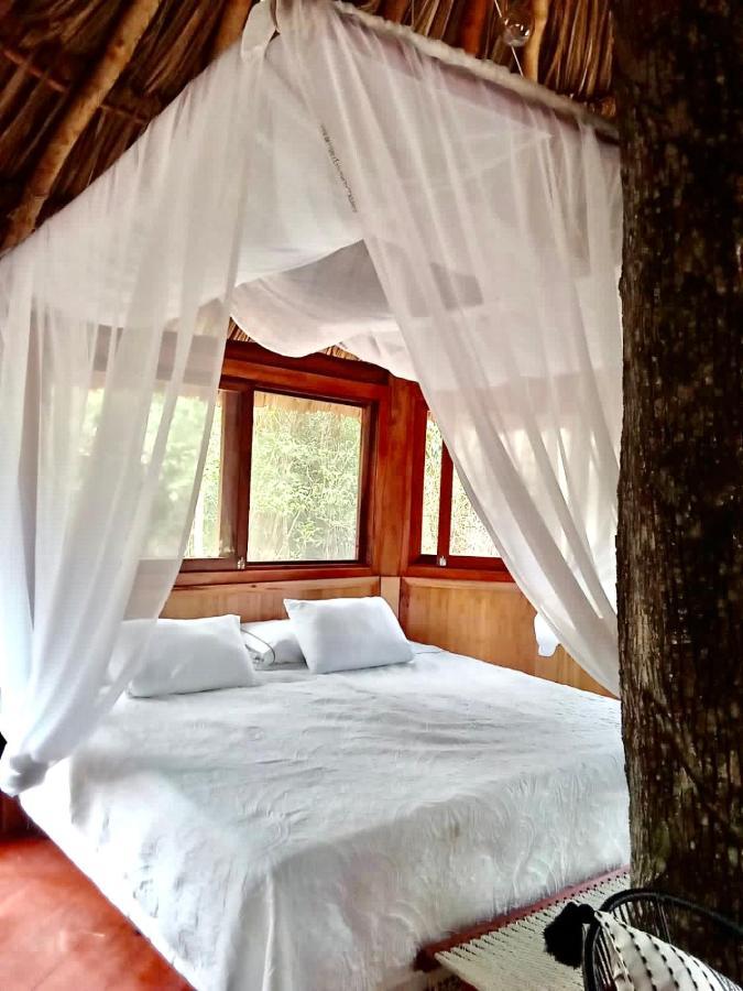 Nuscaa Boutique Tree House & Spa Hotel Puerto Morelos Exterior photo