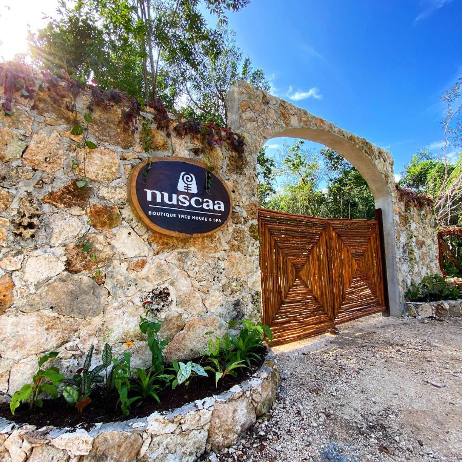 Nuscaa Boutique Tree House & Spa Hotel Puerto Morelos Exterior photo
