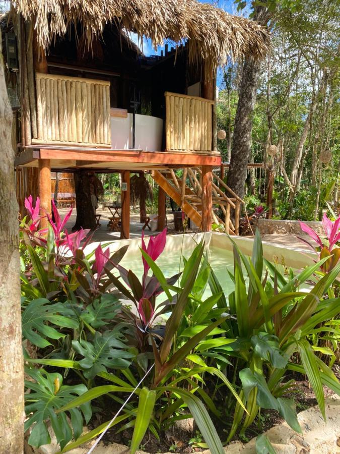 Nuscaa Boutique Tree House & Spa Hotel Puerto Morelos Exterior photo
