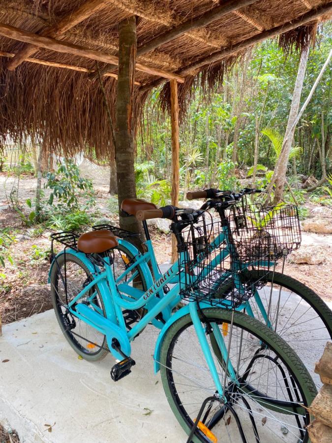 Nuscaa Boutique Tree House & Spa Hotel Puerto Morelos Exterior photo