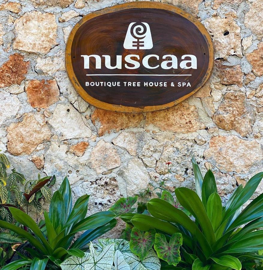 Nuscaa Boutique Tree House & Spa Hotel Puerto Morelos Exterior photo